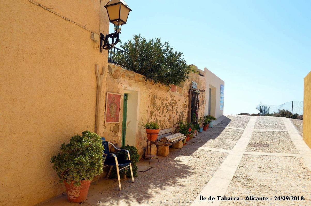 21 ALICANTE L ILE DE TABARCA (151).JPG